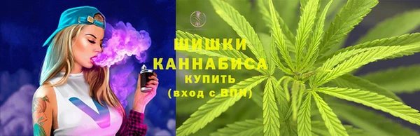 сатива Абинск