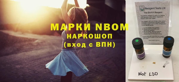 сатива Абинск