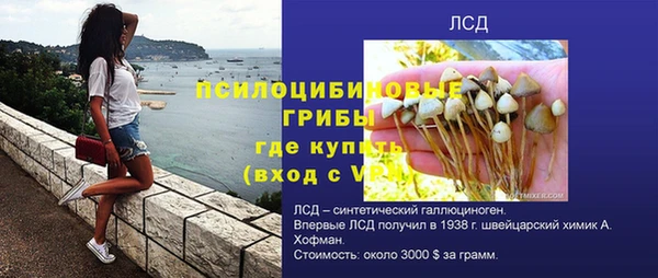 сатива Абинск