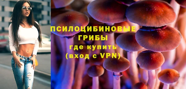 сатива Абинск