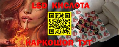 прущие грибы Малгобек