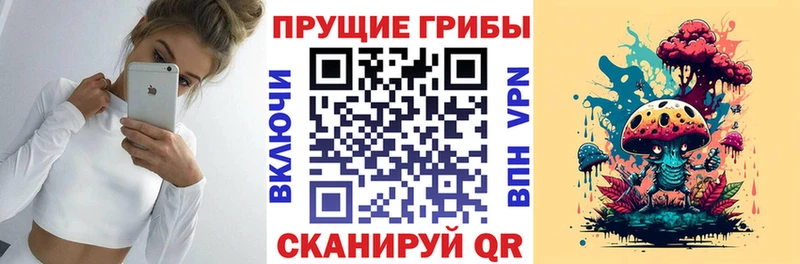 shop как зайти  Новочебоксарск  Псилоцибиновые грибы ЛСД 