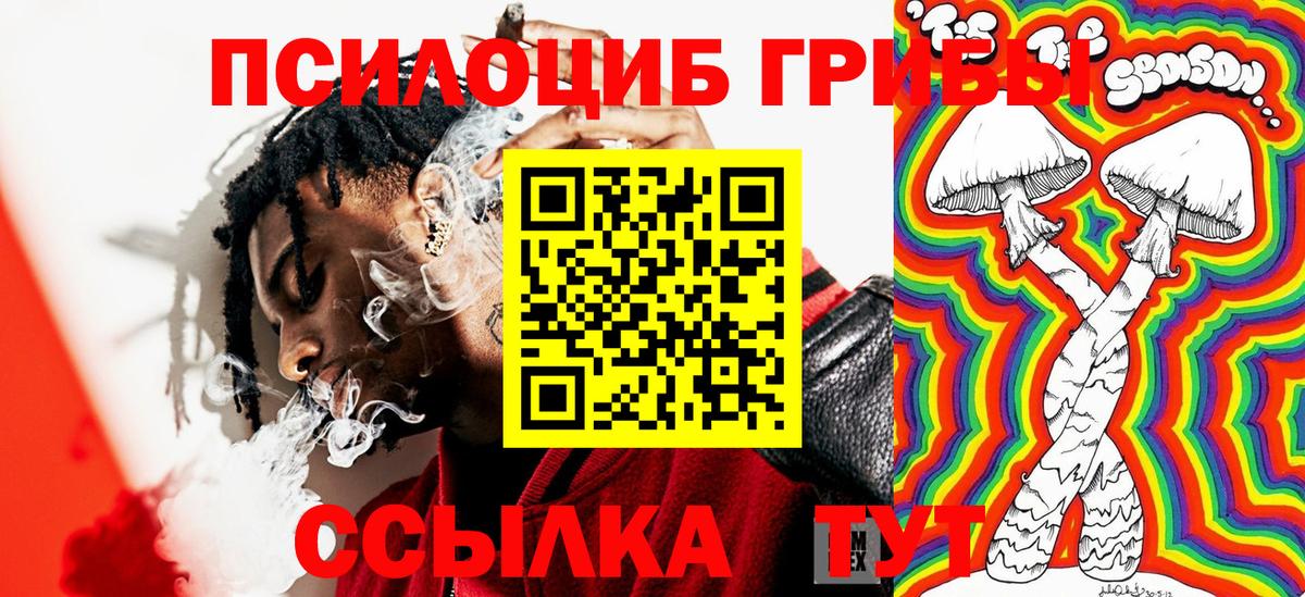 Новочебоксарск  Галлюциногенные грибы ЛСД  Вход с VPN  купить   Галлюциногенные грибы мицелий 